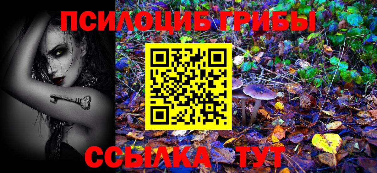 Галлюциногенные грибы ЛСД  купить  сайты  Тутаев  Вход с VPN 